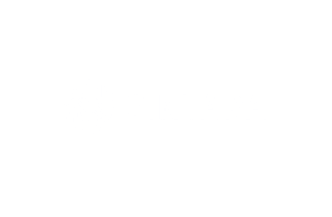Sintara CRM